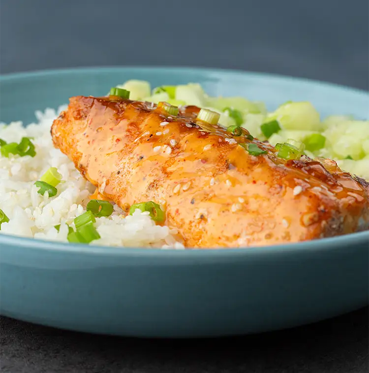 Spicy Salmon Bowl | ProMeals Menu